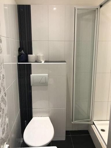 Stara Louka Apartments 卡罗维发利 外观 照片
